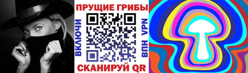 MEGA зеркало  Ипатово  Галлюциногенные грибы Psilocybe 