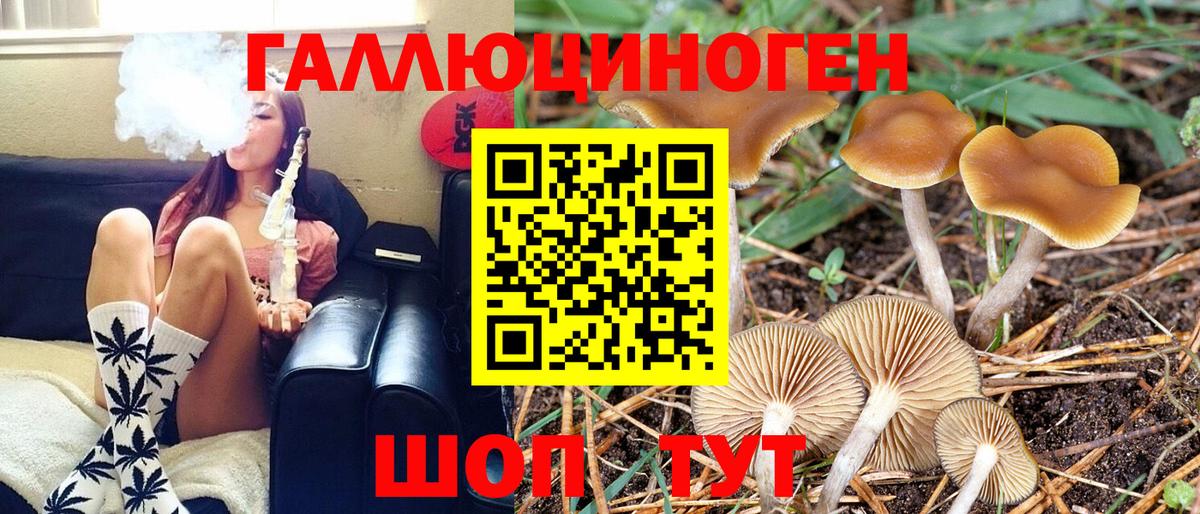 Псилоцибиновые грибы MAGIC MUSHROOMS Ипатово
