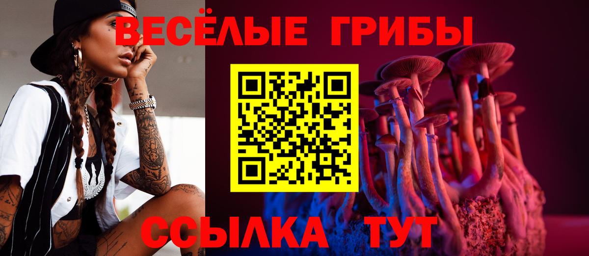 Псилоцибиновые грибы мухоморы  где купить наркоту  Вход с VPN  Ипатово  Псилоцибиновые грибы Magic Shrooms 